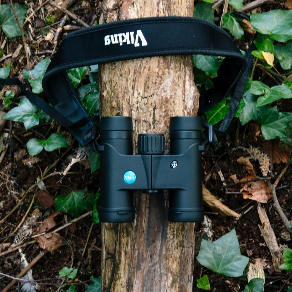 Picture of Compact Binoculars on a log