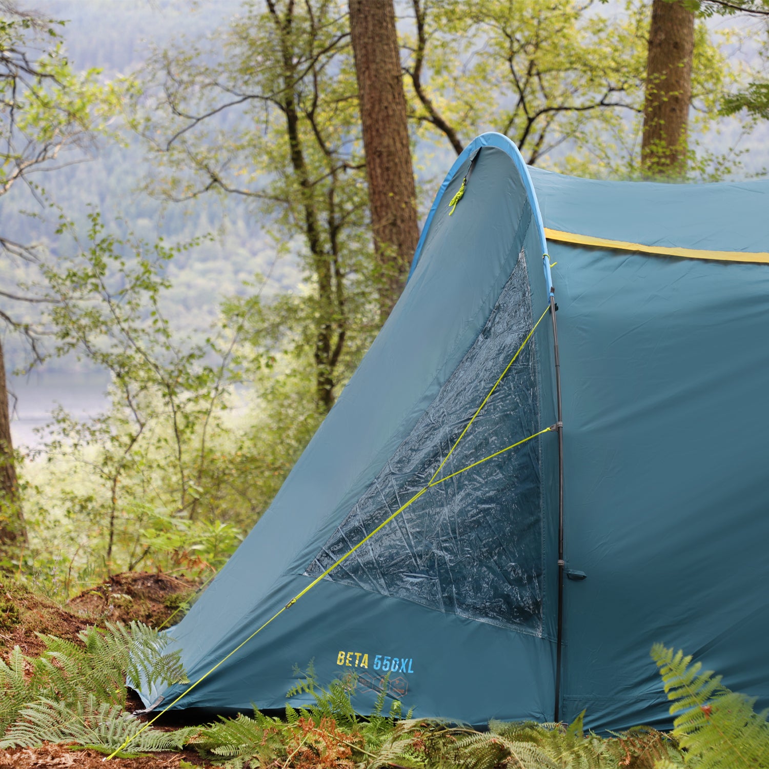 Vango beta 550xl sale